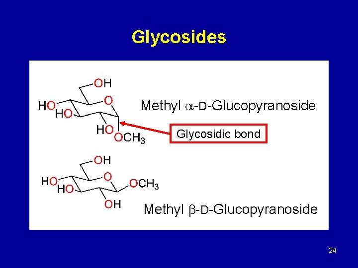 Glycosides Methyl -D-Glucopyranoside Glycosidic bond Methyl -D-Glucopyranoside 24 
