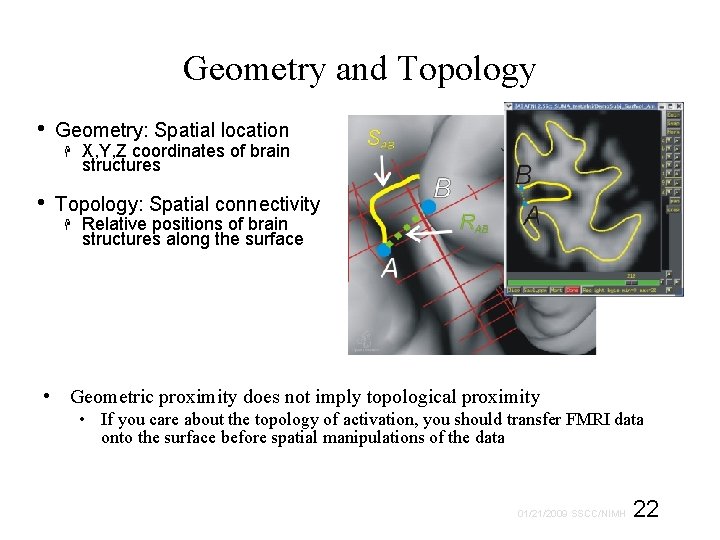 Geometry and Topology • Geometry: Spatial location • X, Y, Z coordinates of brain