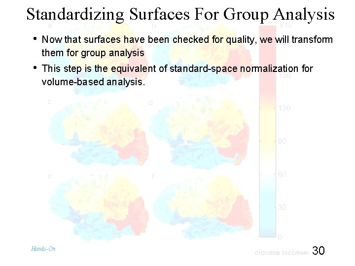 Standardizing Surfaces For Group Analysis • Now that surfaces have been checked for quality,