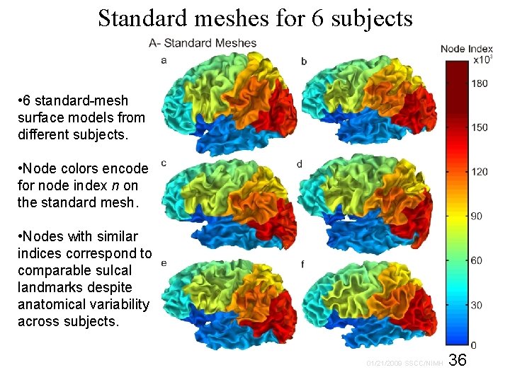 Standard meshes for 6 subjects • 6 standard-mesh surface models from different subjects. •