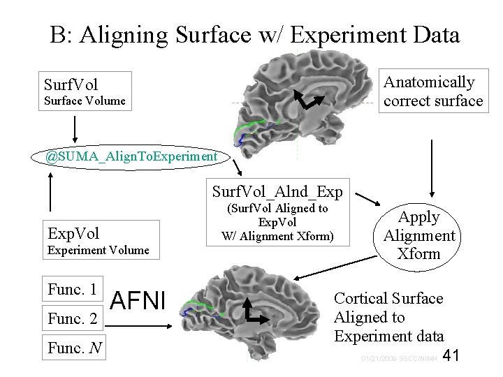 B: Aligning Surface w/ Experiment Data Anatomically correct surface Surf. Vol Surface Volume @SUMA_Align.