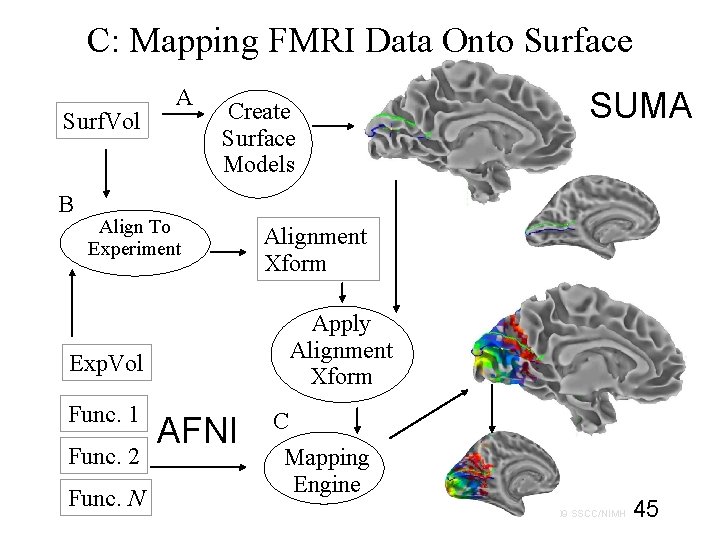 C: Mapping FMRI Data Onto Surface Surf. Vol B A Create Surface Models Align
