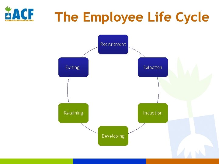 The Employee Life Cycle Recruitment Exiting Selection Retaining Induction Developing 