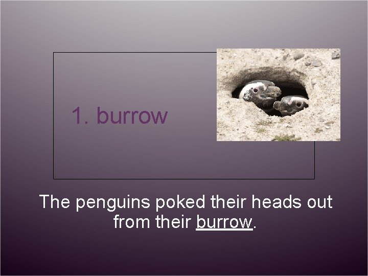 1. burrow The penguins poked their heads out from their burrow. 