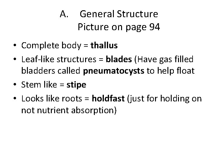 A. General Structure Picture on page 94 • Complete body = thallus • Leaf-like
