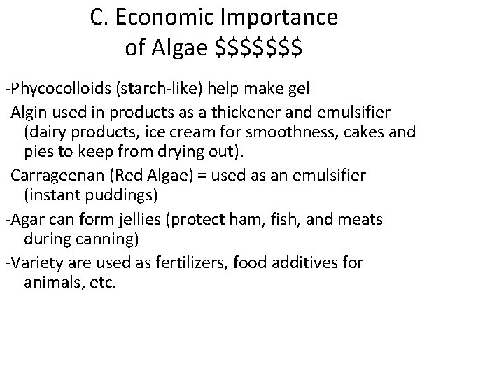 C. Economic Importance of Algae $$$$$$$ -Phycocolloids (starch-like) help make gel -Algin used in