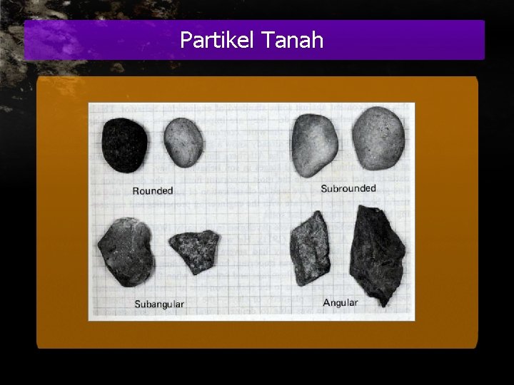 Partikel Tanah 