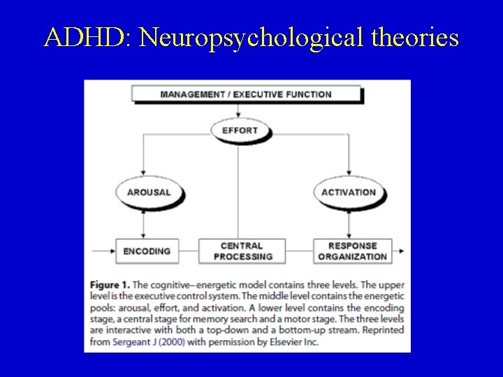 ADHD: Neuropsychological theories 