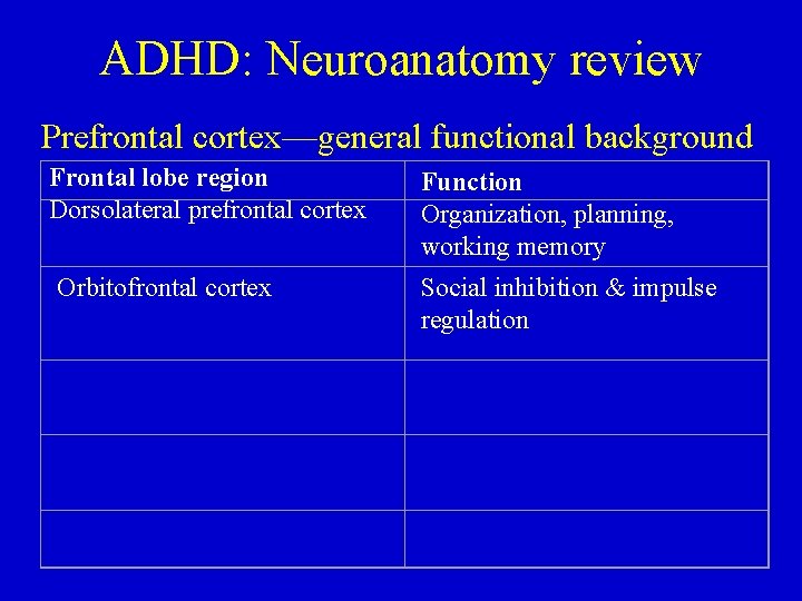 ADHD: Neuroanatomy review Prefrontal cortex—general functional background Frontal lobe region Dorsolateral prefrontal cortex Function
