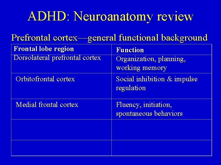 ADHD: Neuroanatomy review Prefrontal cortex—general functional background Frontal lobe region Dorsolateral prefrontal cortex Function