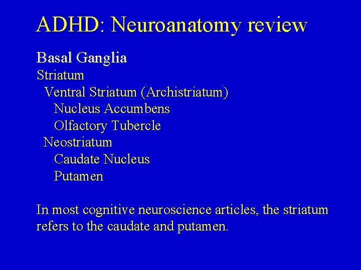 ADHD: Neuroanatomy review Basal Ganglia Striatum Ventral Striatum (Archistriatum) Nucleus Accumbens Olfactory Tubercle Neostriatum