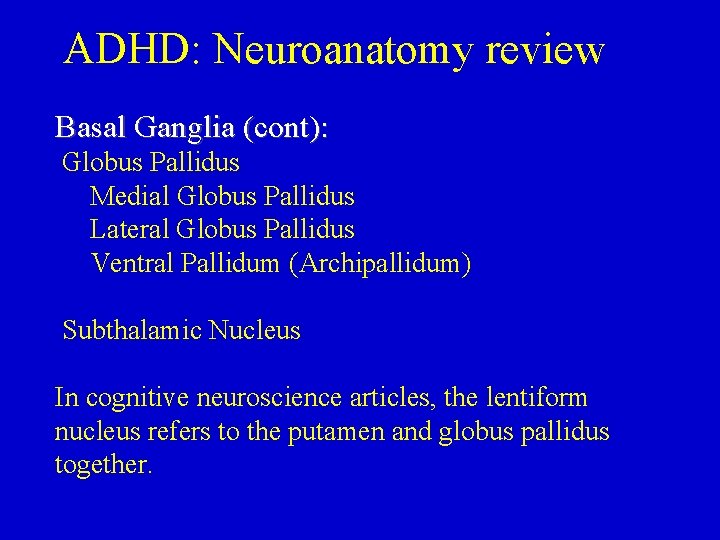 ADHD: Neuroanatomy review Basal Ganglia (cont): Globus Pallidus Medial Globus Pallidus Lateral Globus Pallidus