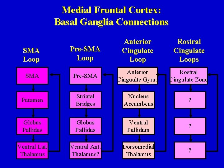 Medial Frontal Cortex: Basal Ganglia Connections SMA Loop Pre-SMA Loop Anterior Cingulate Loop Rostral
