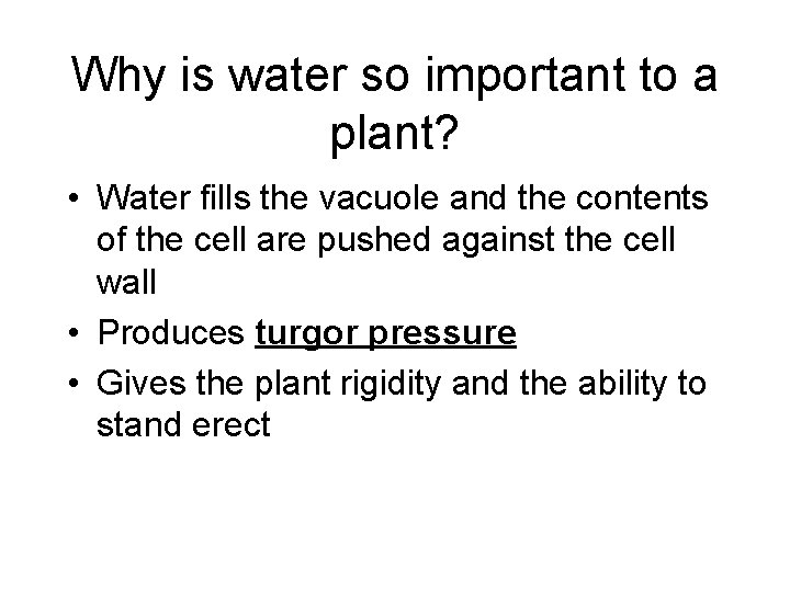 Why is water so important to a plant? • Water fills the vacuole and