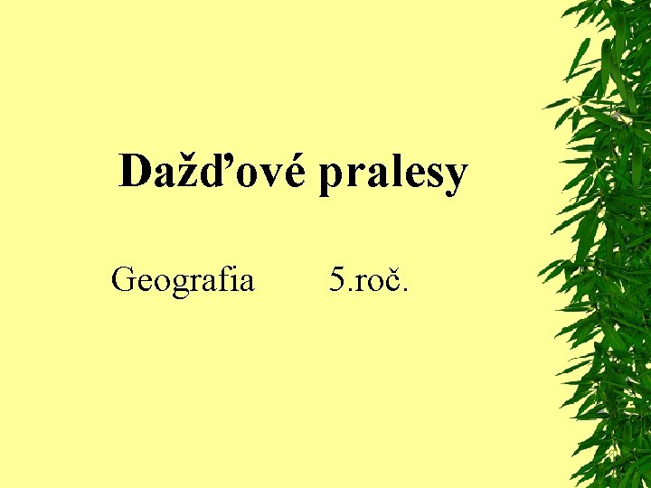 Dažďové pralesy Geografia 5. roč. 