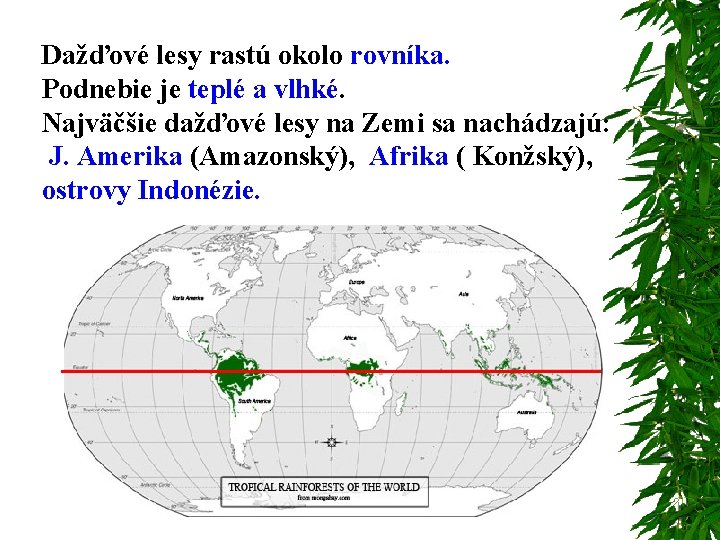 Dažďové lesy rastú okolo rovníka. Podnebie je teplé a vlhké. Najväčšie dažďové lesy na