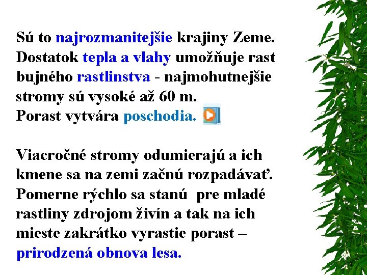 Sú to najrozmanitejšie krajiny Zeme. Dostatok tepla a vlahy umožňuje rast bujného rastlinstva -