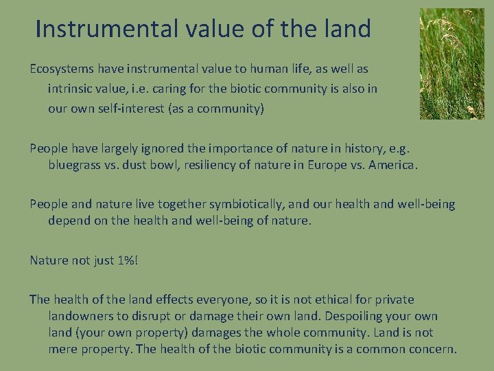 Instrumental value of the land Ecosystems have instrumental value to human life, as well