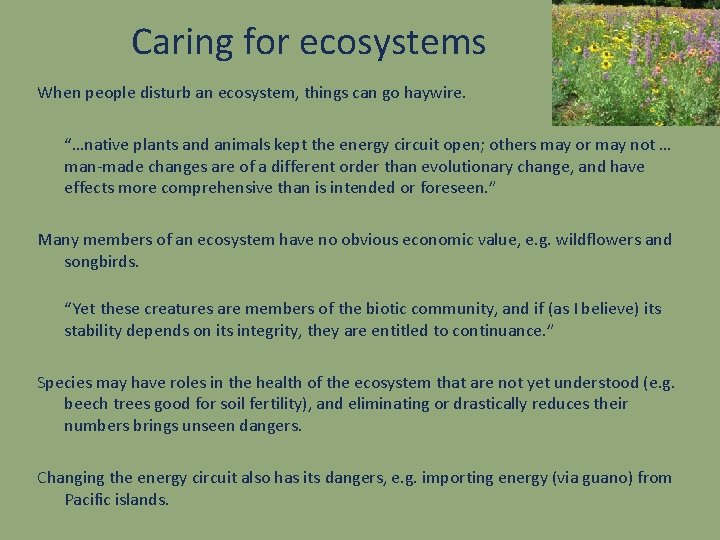 Caring for ecosystems When people disturb an ecosystem, things can go haywire. “…native plants