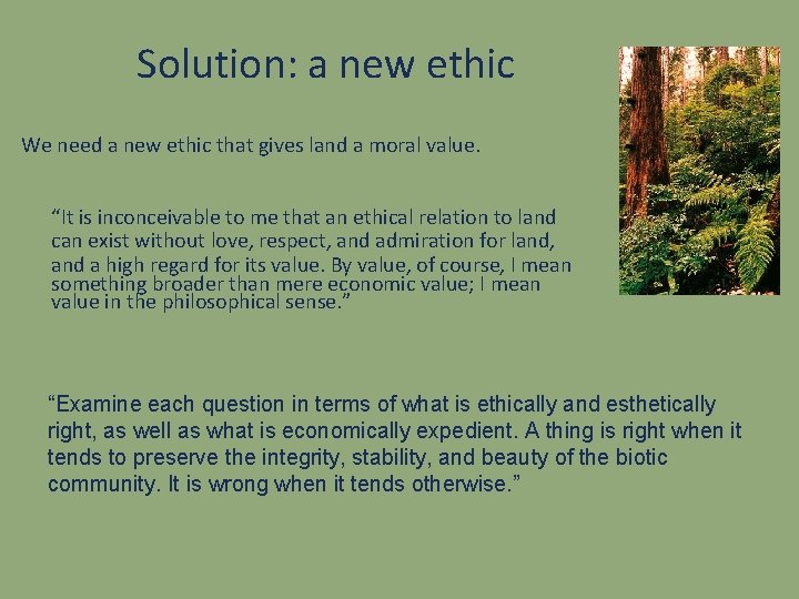 Solution: a new ethic We need a new ethic that gives land a moral
