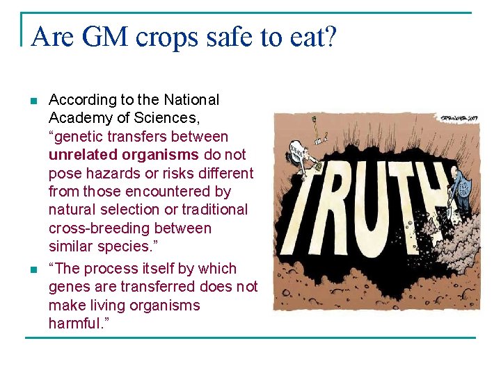 Are GM crops safe to eat? n n According to the National Academy of