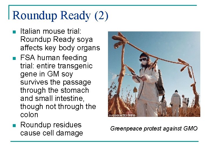 Roundup Ready (2) n n n Italian mouse trial: Roundup Ready soya affects key