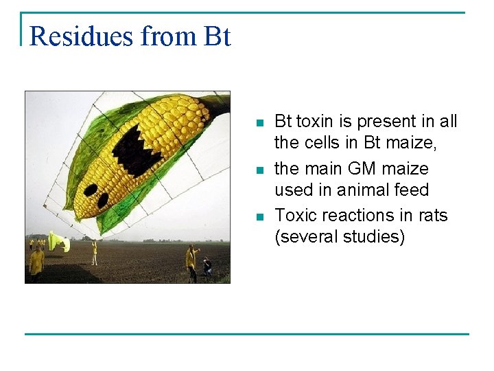 Residues from Bt n n n Bt toxin is present in all the cells