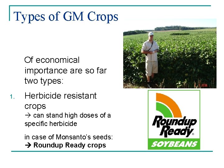 Types of GM Crops Of economical importance are so far two types: 1. Herbicide