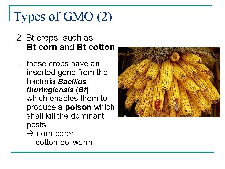 Types of GMO (2) 2. Bt crops, such as Bt corn and Bt cotton