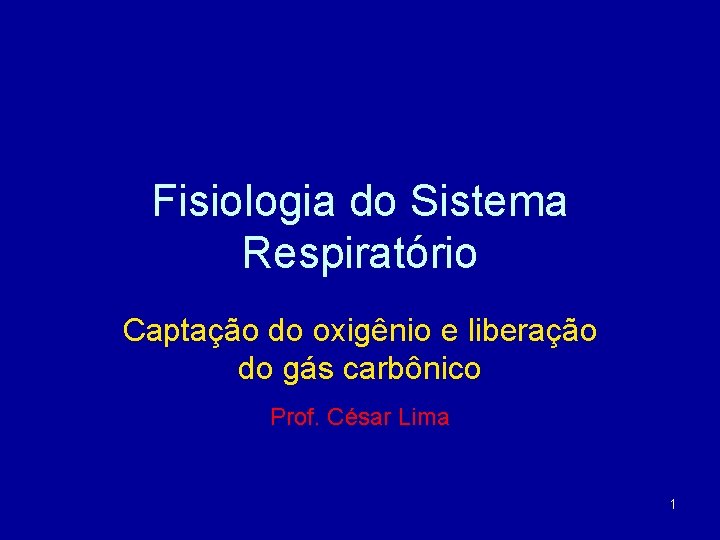 Fisiologia do Sistema Respiratório Captação do oxigênio e liberação do gás carbônico Prof. César