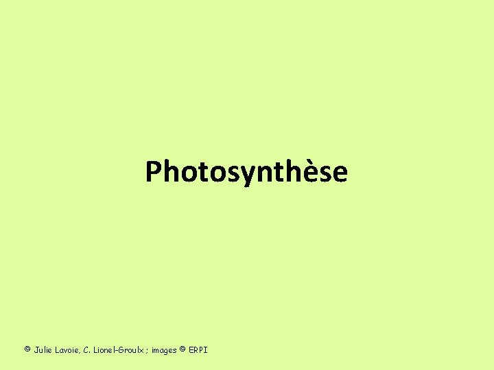 Photosynthèse © Julie Lavoie, C. Lionel-Groulx ; images © ERPI 