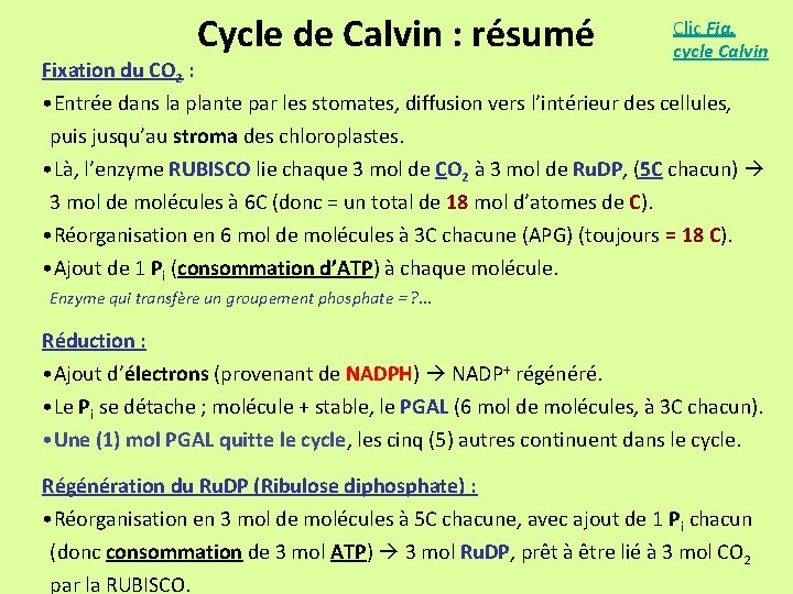 Fixation du CO 2 : Cycle de Calvin : résumé Clic Fig. cycle Calvin