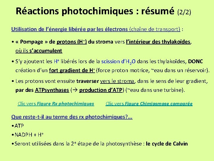 Réactions photochimiques : résumé (2/2) Utilisation de l’énergie libérée par les électrons (chaîne de