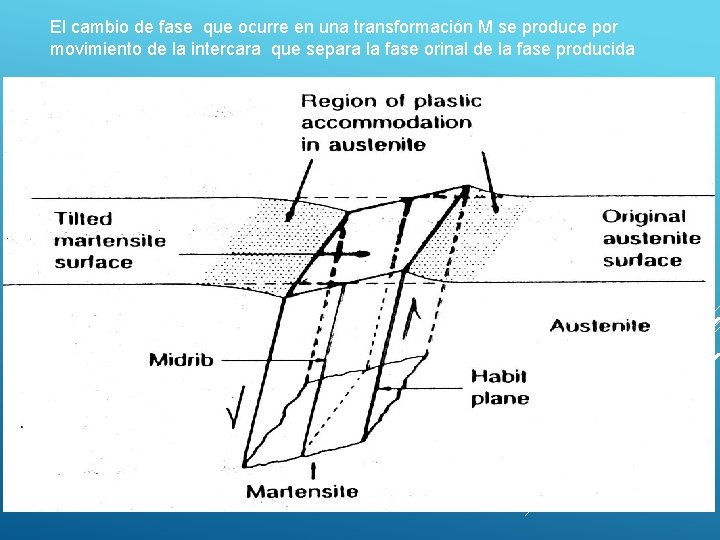 El cambio de fase que ocurre en una transformación M se produce por movimiento