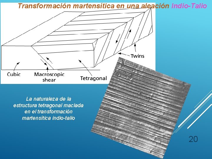 Transformación martensítica en una aleación Indio-Talio La naturaleza de la estructura tetragonal maclada en