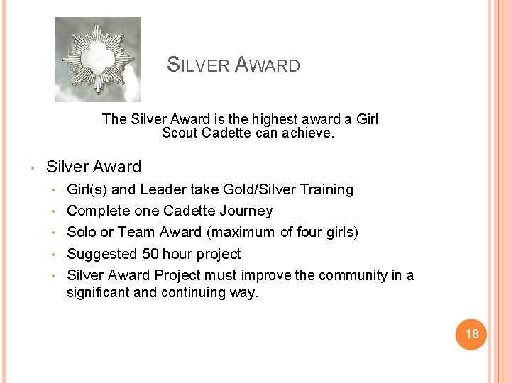 SILVER AWARD The Silver Award is the highest award a Girl Scout Cadette can