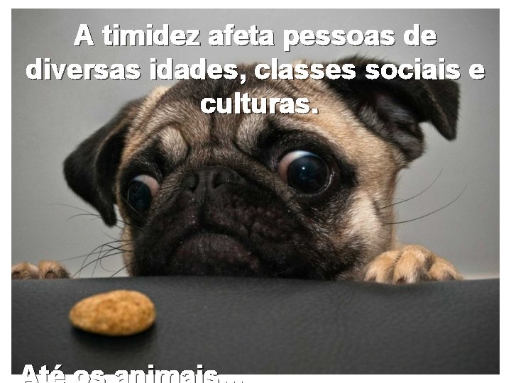 A timidez afeta pessoas de diversas idades, classes sociais e culturas. 