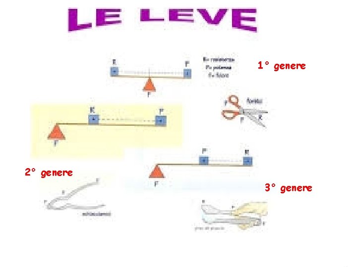 1° genere 2° genere 3° genere 1° genere 2° genere 3° genere