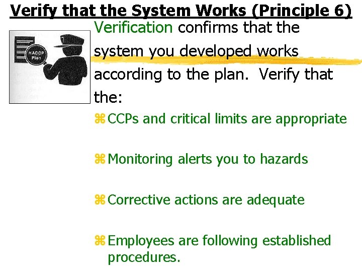 Verify that the System Works (Principle 6) Verification confirms that the system you developed