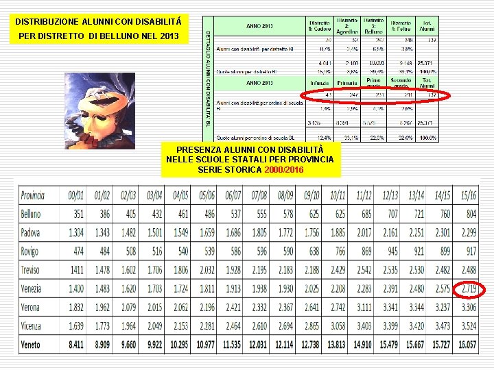 DISTRIBUZIONE ALUNNI CON DISABILITÁ PER DISTRETTO DI BELLUNO NEL 2013 PRESENZA ALUNNI CON DISABILITÀ
