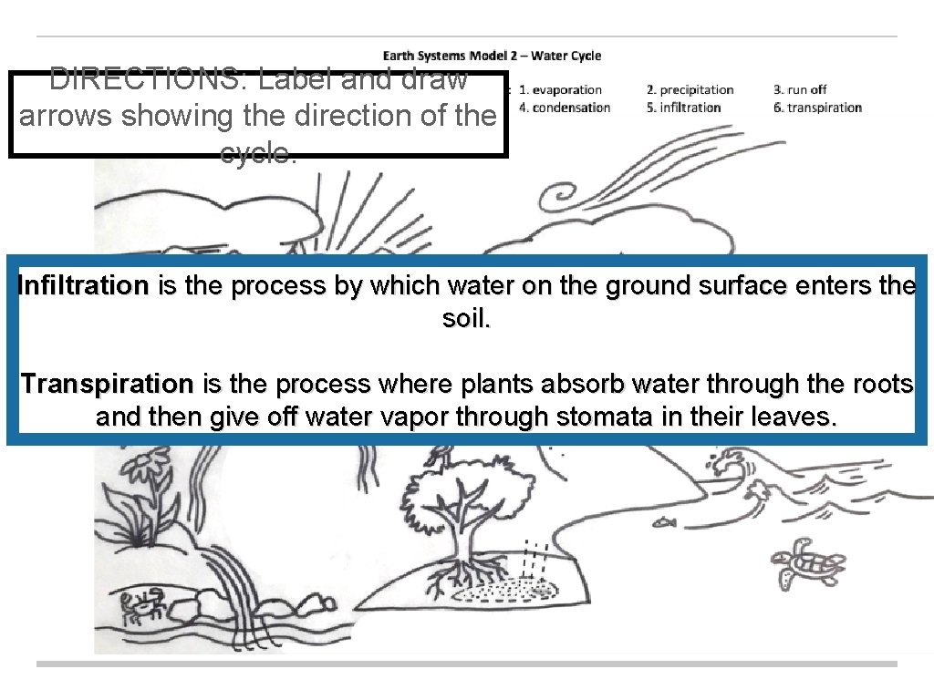 DIRECTIONS: Label and draw arrows showing the direction of the cycle. Infiltration is the