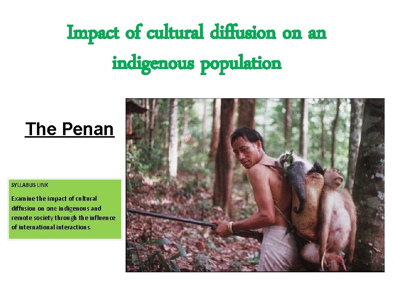 Impact of cultural diffusion on an indigenous population The Penan SYLLABUS LINK Examine the