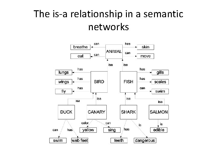 The is-a relationship in a semantic networks 