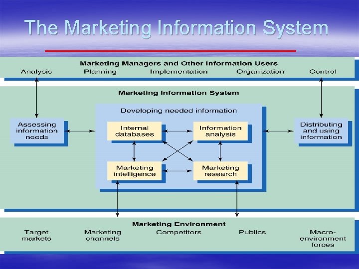 The Marketing Information System 