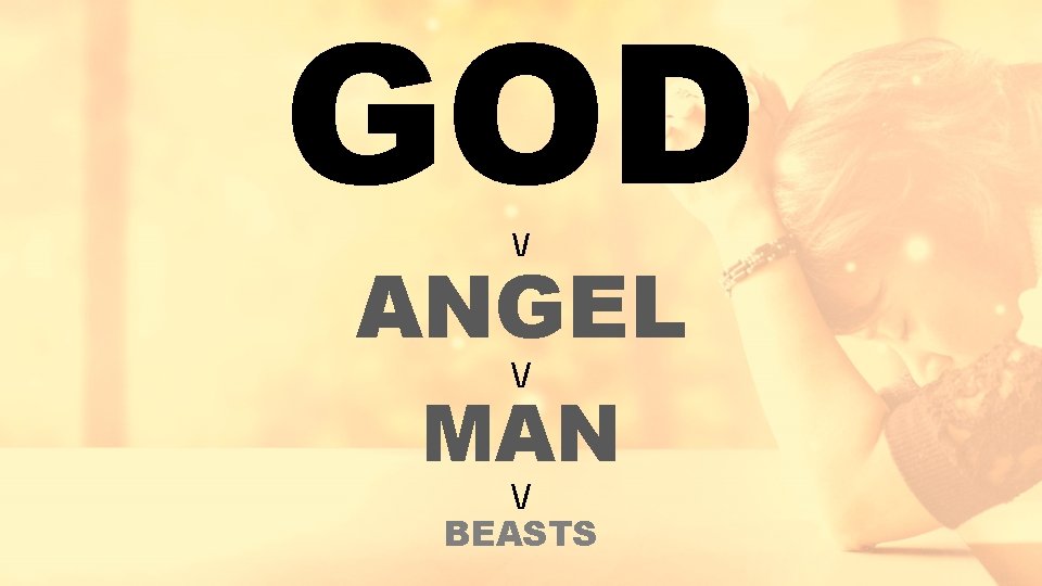 GOD / ANGEL / MAN / BEASTS 