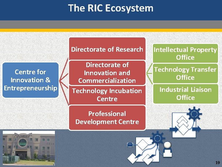 The RIC Ecosystem Directorate of Research Centre for Innovation & Entrepreneurship Directorate of Innovation