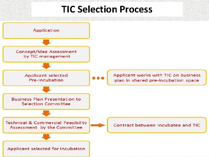 TIC Selection Process 24 