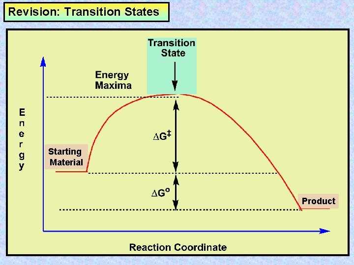 Revision: Transition States Starting Material Product 