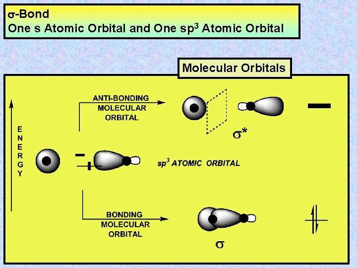 s-Bond One s Atomic Orbital and One sp 3 Atomic Orbital Molecular Orbitals 