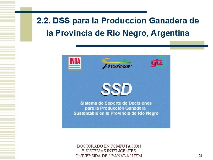 2. 2. DSS para la Produccion Ganadera de la Provincia de Rio Negro, Argentina